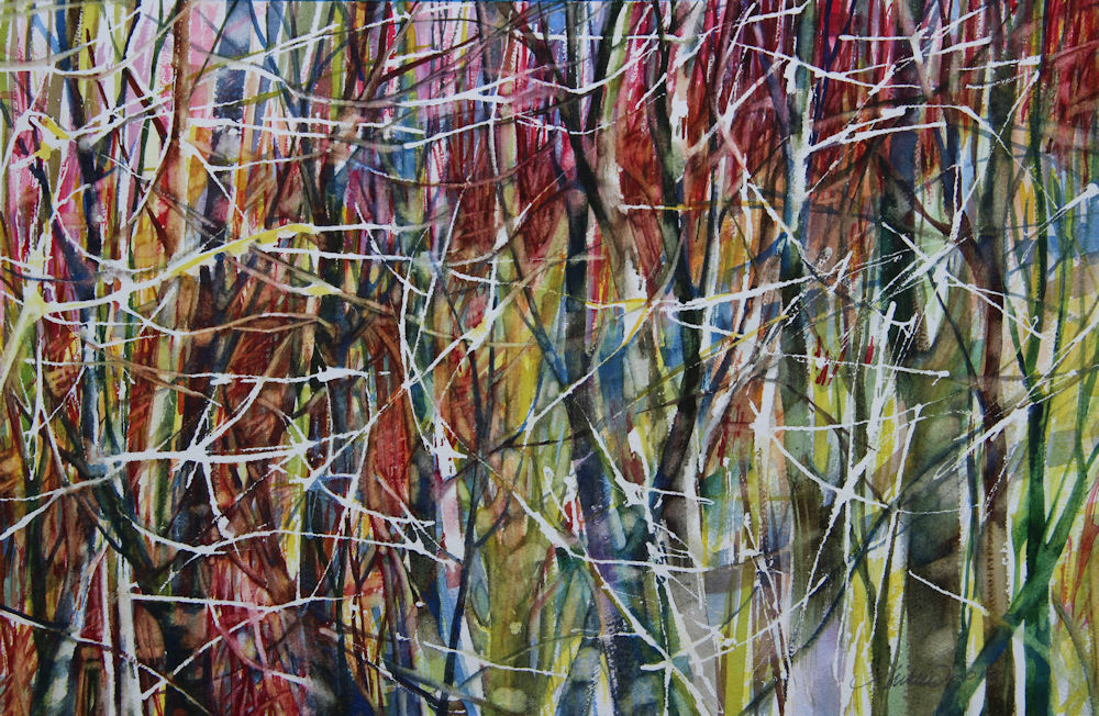 Winter Forest: Dogwood