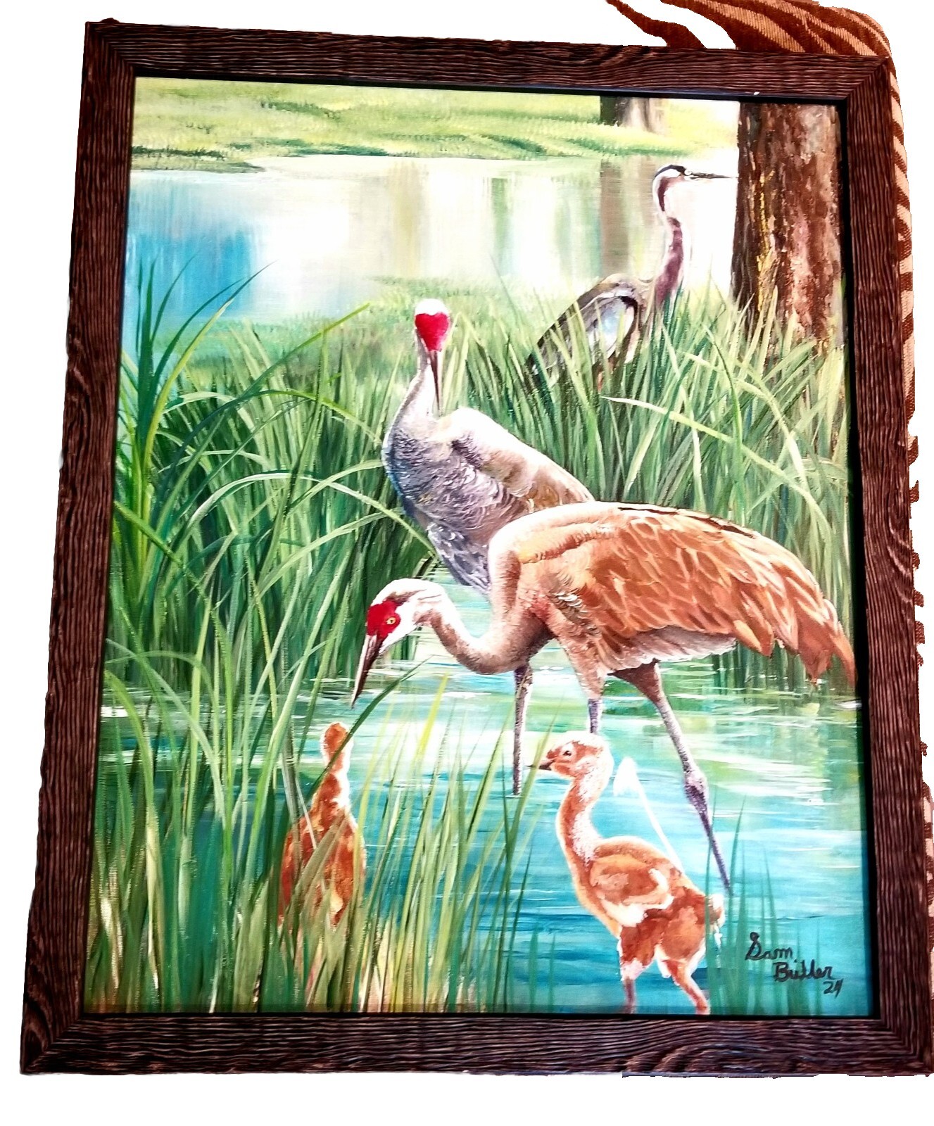 Florida Sandhill Cranes Acrylic Remarked Giclee 16″x20″ Framed & Wall Ready