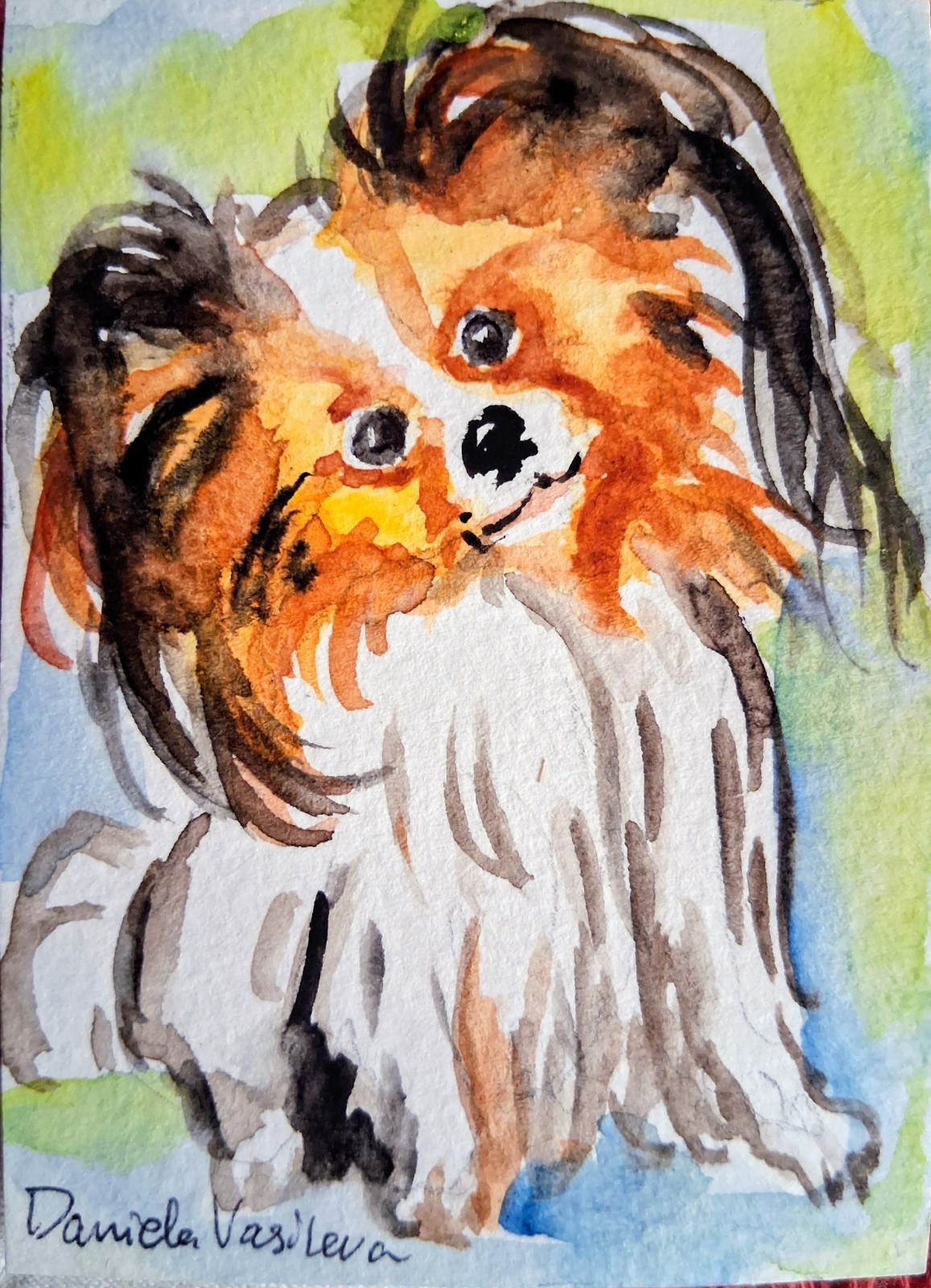 Psppilon dog pet art,original watercolor painting,dog lover gift ACEO 2.5×3.5″