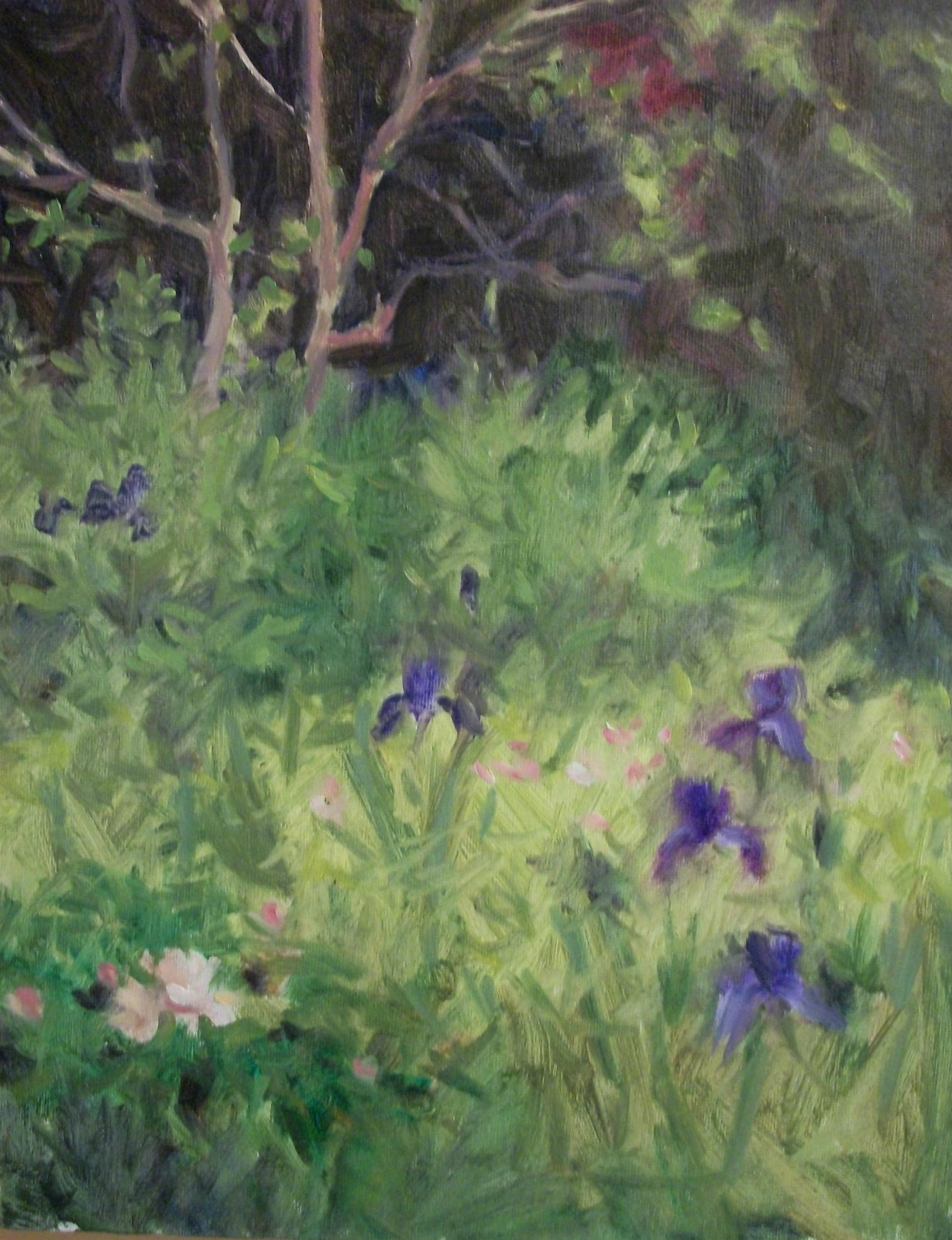 Billowing Clouds Over Spring Creek Oklahoma oil painting Margaret Aycock Orig
