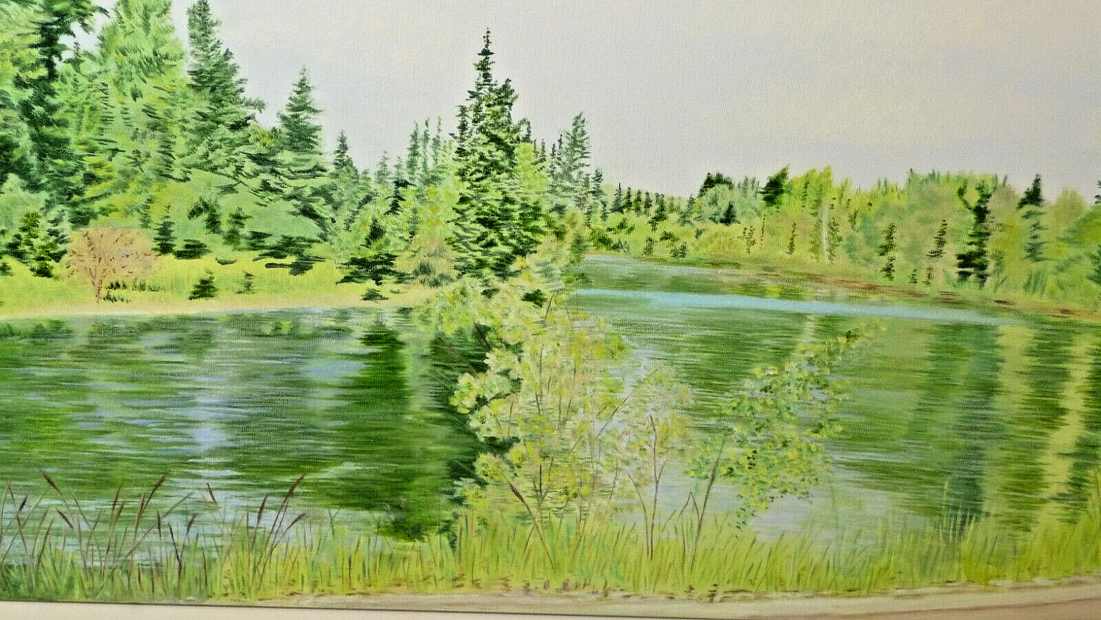 Original 24×12 Nature Oil Painting Catherine Johnston Natures Green Reflections