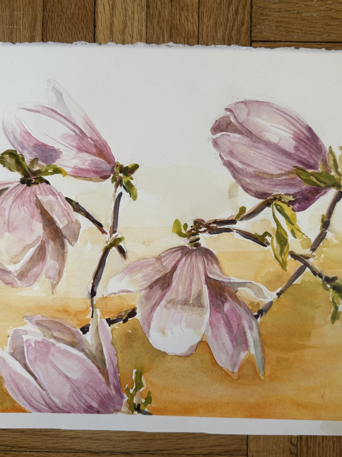 Vintage Watercolor Painting Floral Pink Magnolia Flowers Botanical 11 x 15 OOAK