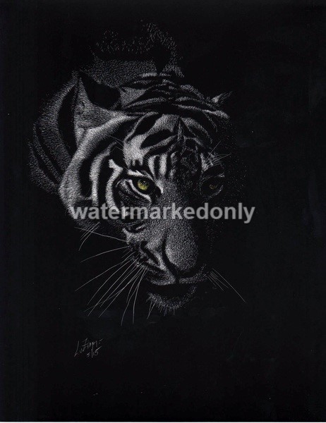 An Intriguing Tiger’s Face Shadow Scratch -Reg Board 8.5″x11″ Scratch Signed