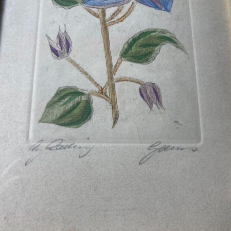 Vintage Original Flowers Drawing signed and named by the Artis 9 x 15 in