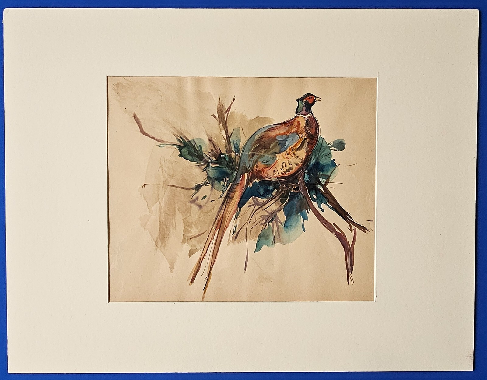 Hal Burrows Original Ink & Watercolor «Pheasant on the Branch» 1930 Matted