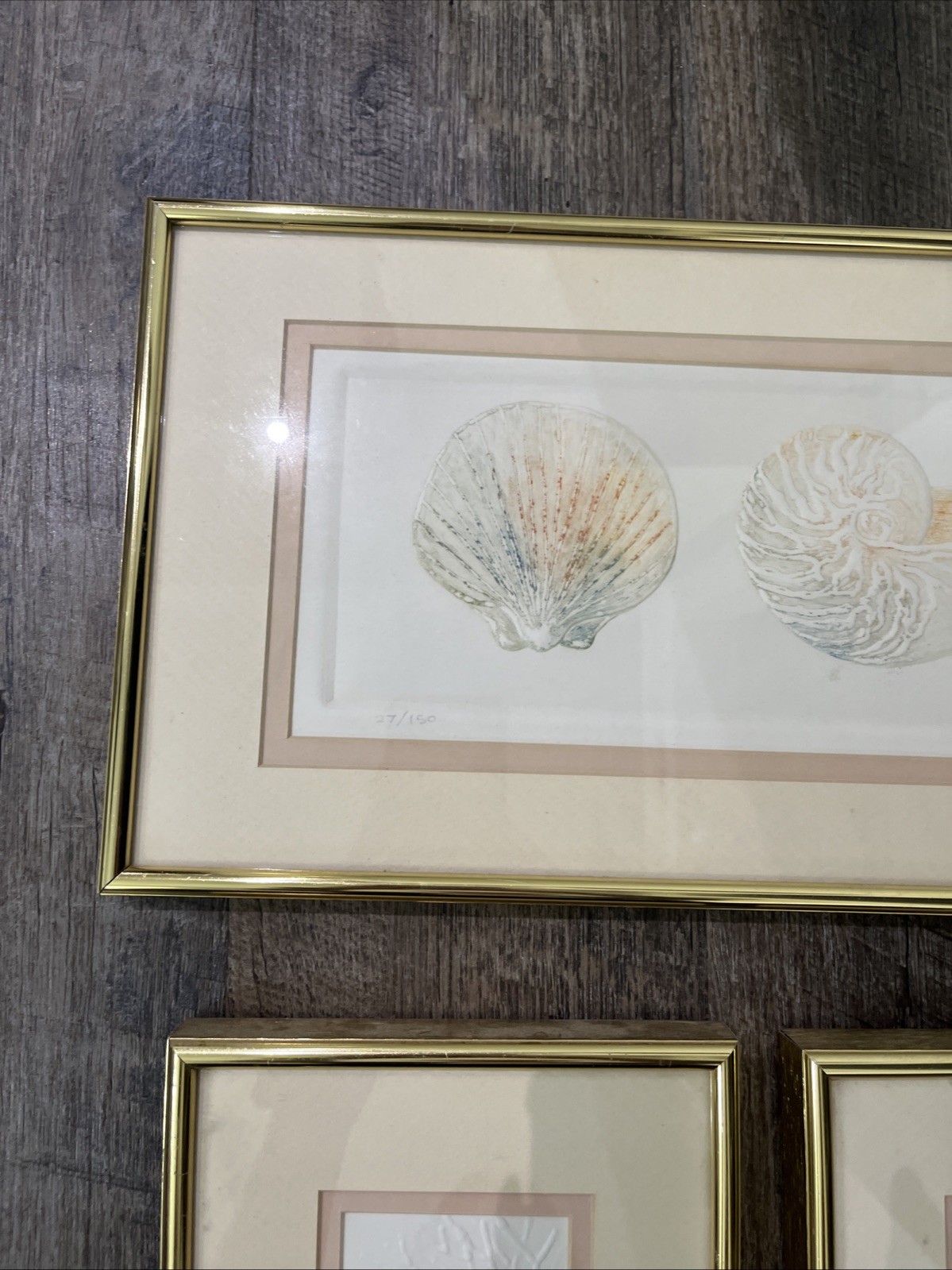 3 Vtg Matted Framed Signed And Dated Embossed Paper With Watercolor Seashells