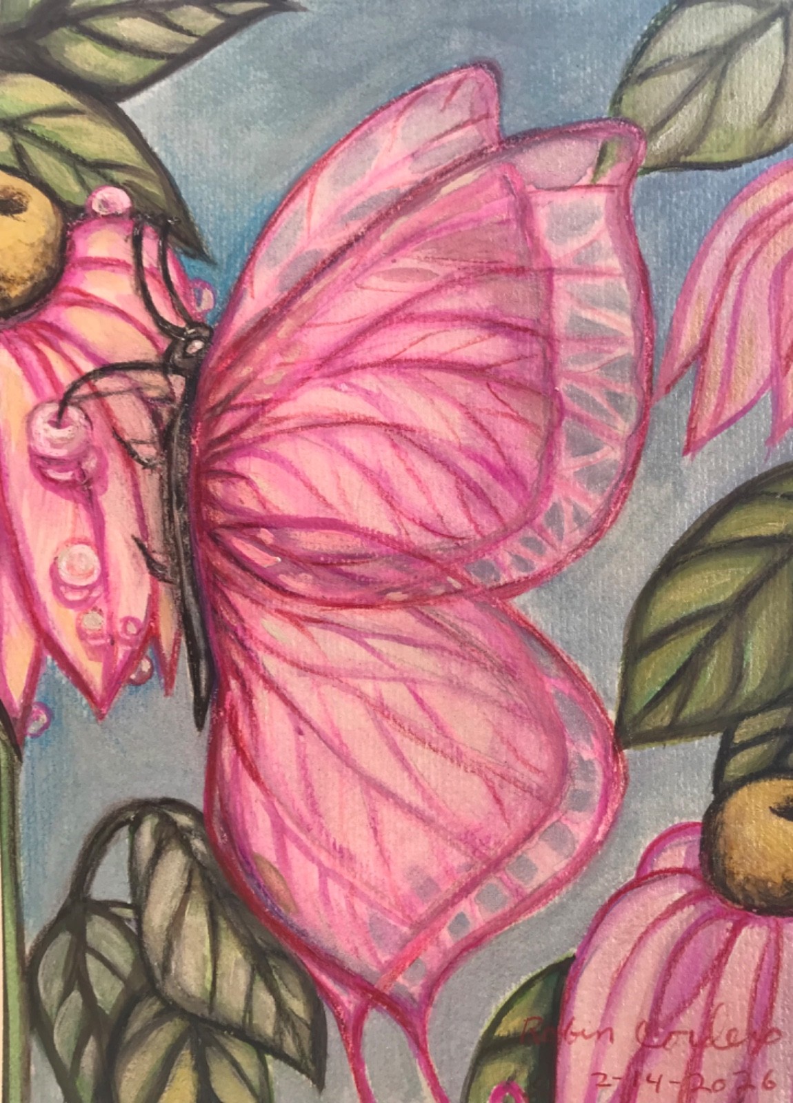 Aceo art card, Print, 2.5 by 3.5. Pink Translucent Butterfly ,”New Life”.