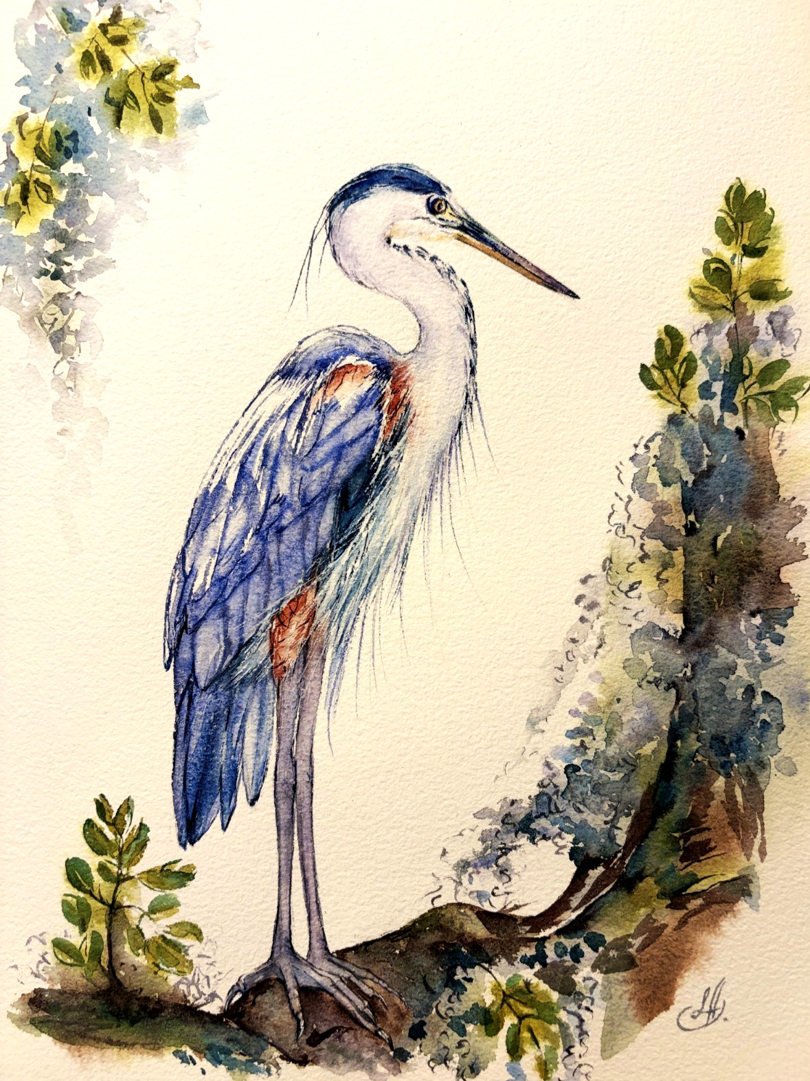 Great Blue Heron Bird Among Spanish Moss Original Watercolor Painting Liz Altin
