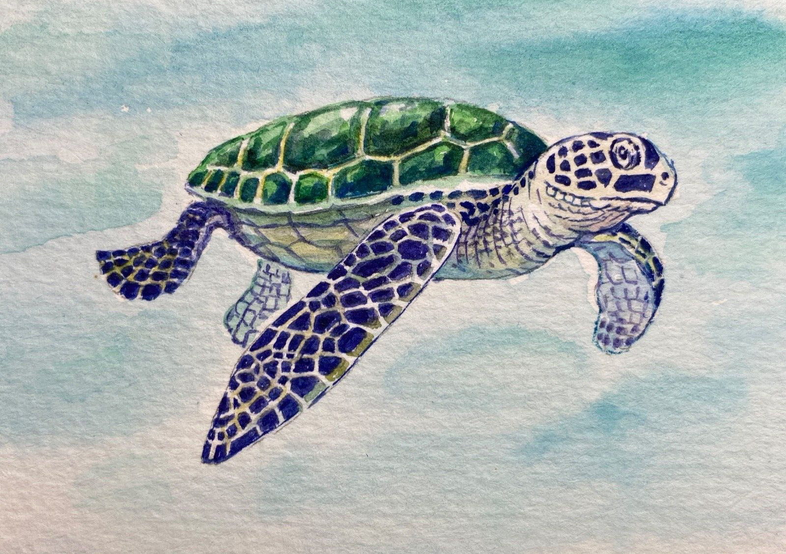 Watercolor Painting Sea Turtle Ocean Animals ACEO Art No.343