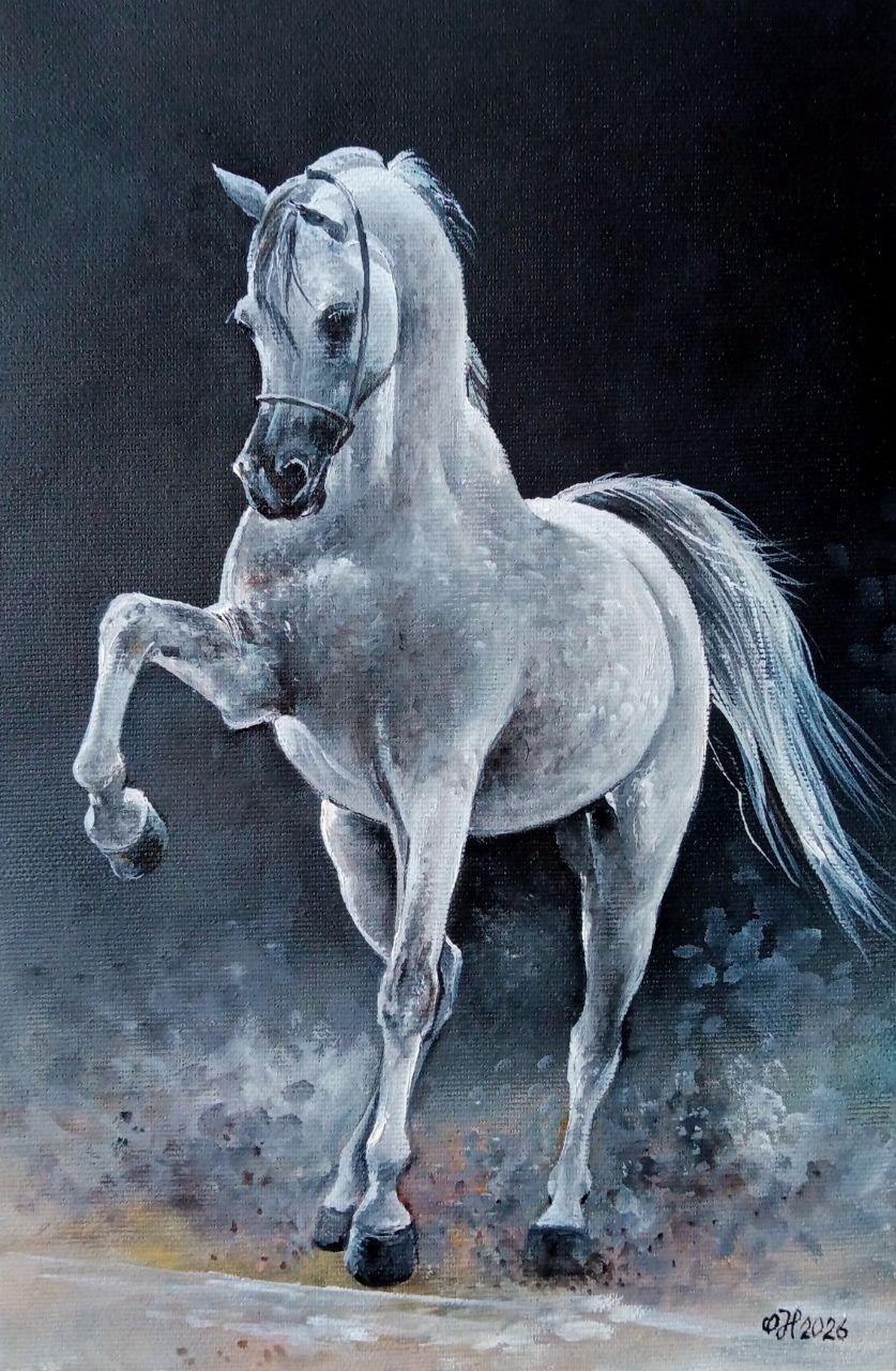 Arabian White Horse – Original Oil Painting on Canvas 30×20 cm
