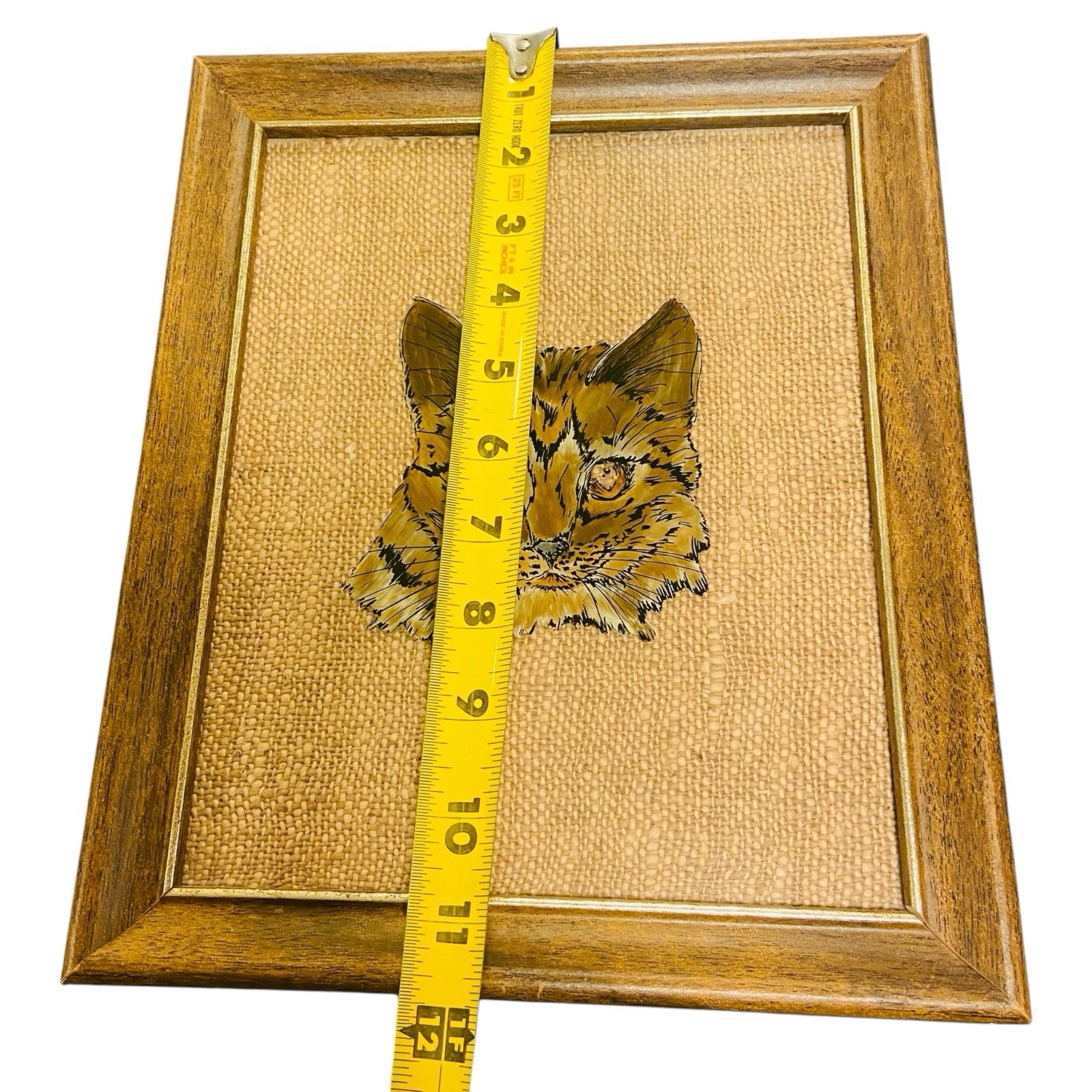 Vintage Reverse Painting Cat Framed 1980s Long Hair Tabby 9.75” x 11.5”
