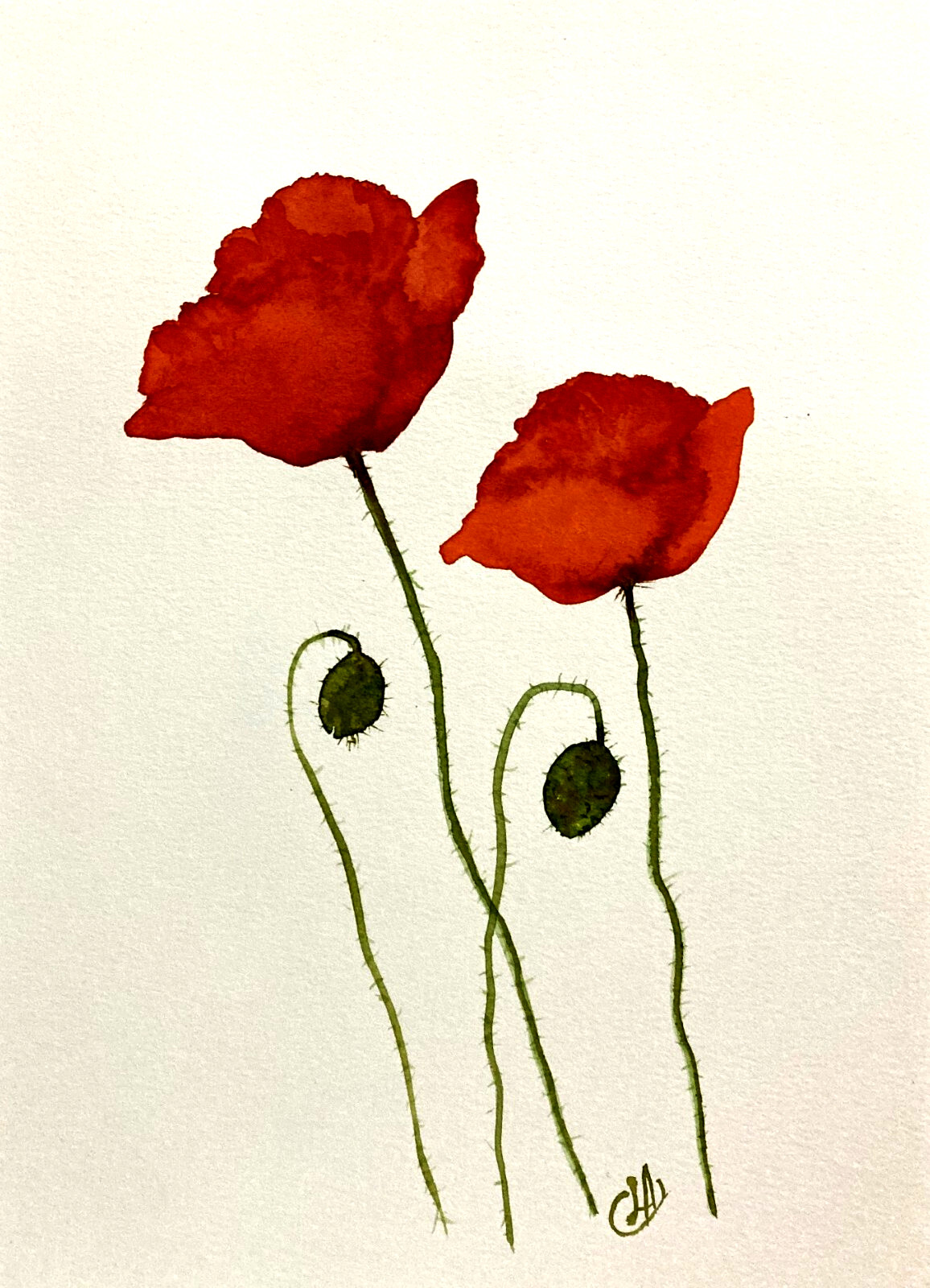 Poppy California Flowers Watercolor Original Painting Abstract Artwork