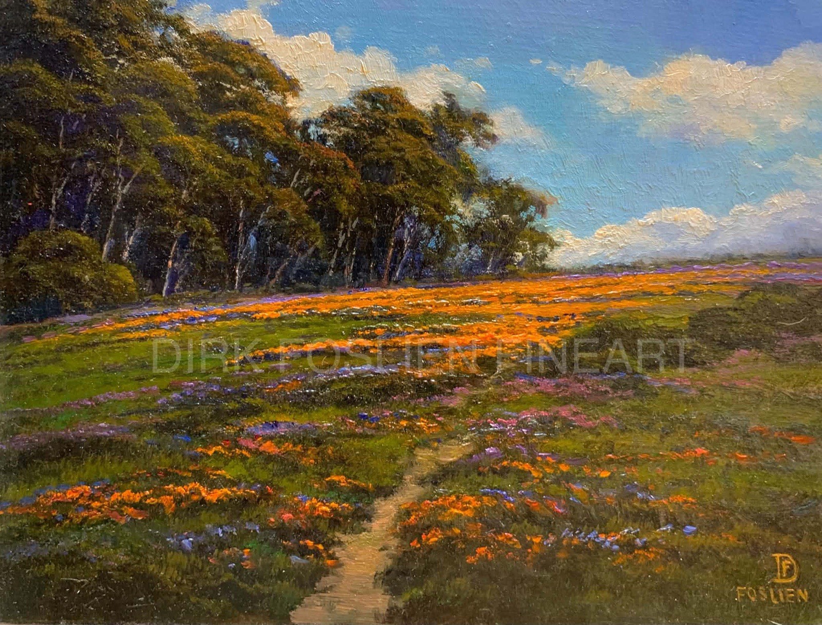 Dirk Foslien Oil painting “Elwood Reserve Poppies” 6”x8” (no Frame)
