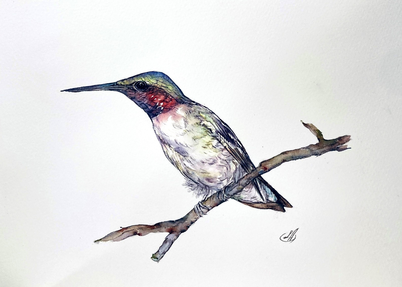 Original Watercolor Hummingbird Painting Bird Art Nature Decor