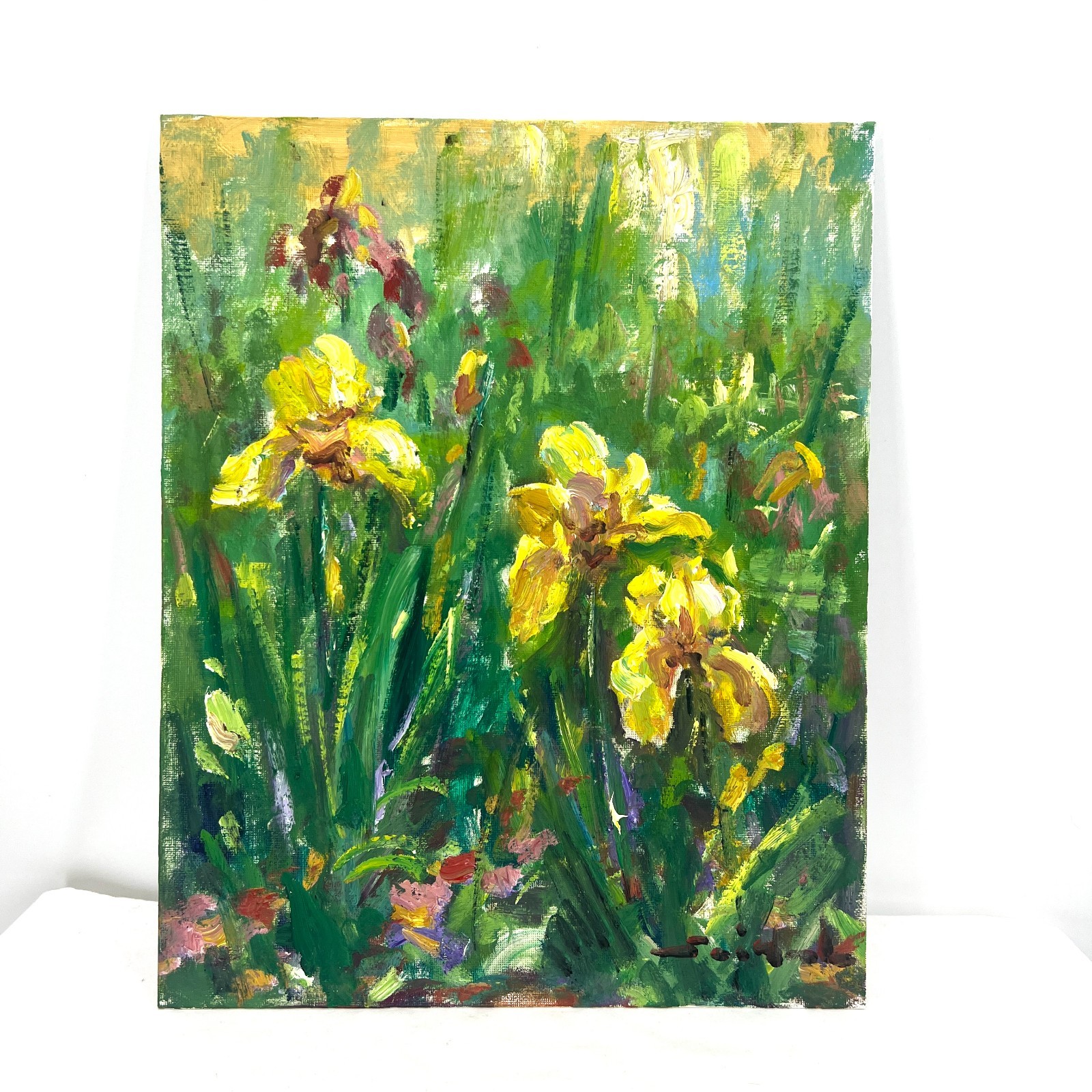 Original Artwork Study 11”x14” Oil On Canvas Panel Yellow Iris By Tadeusz Seidel