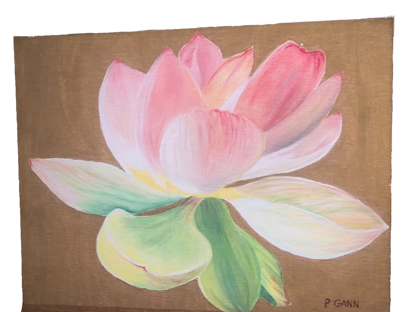 Original Signed P Gann Pink Magnolia Flower 12”T 16”W Canvas Floral