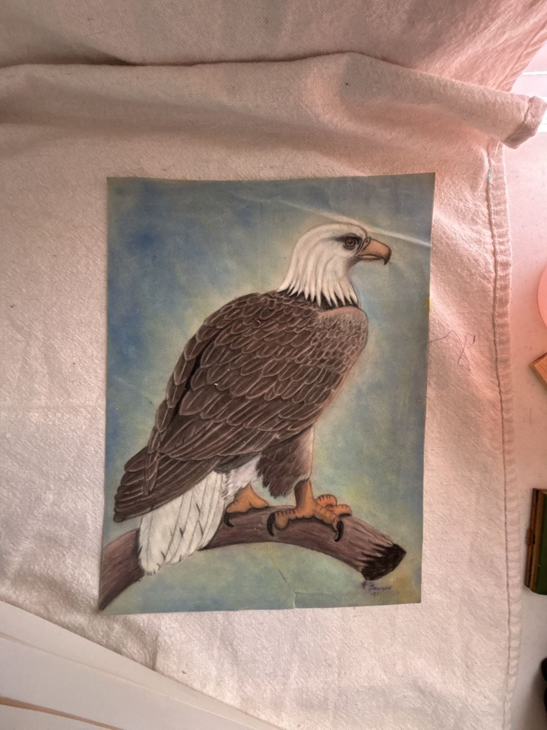Vintage Original Bald Eagle Watercolor Painting Signed R. Dawson 1991