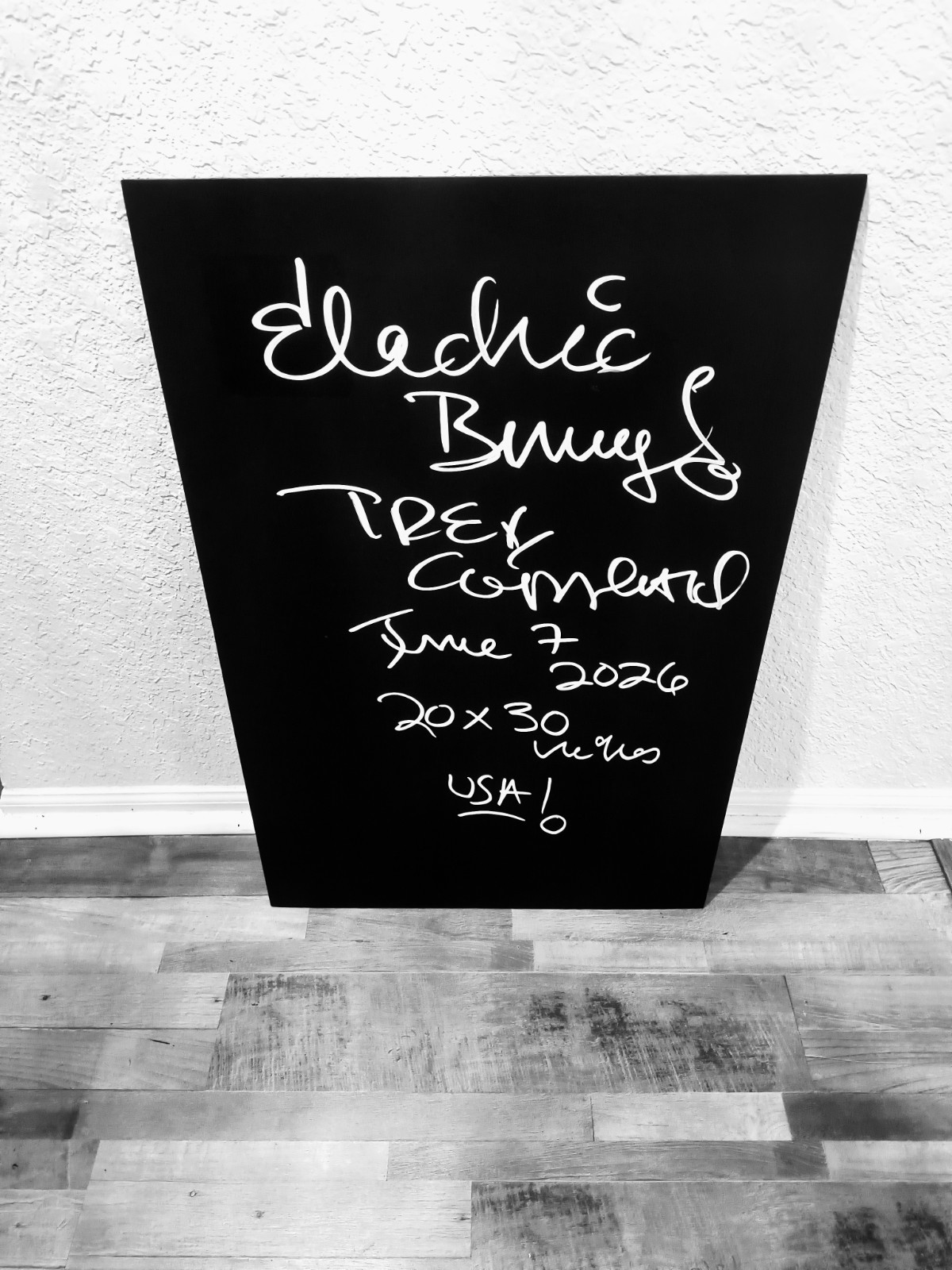 Trey Coppland Electric Bunny Signed 2026 Print 20×30 Unframed