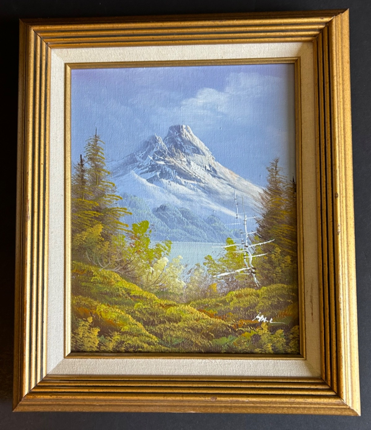 Artist Signed Framed Oil on Canvas Painting Of Mountains And Trees Landscape