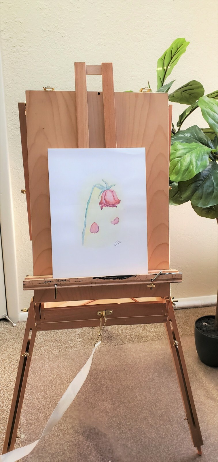 Dying Rose Drawing