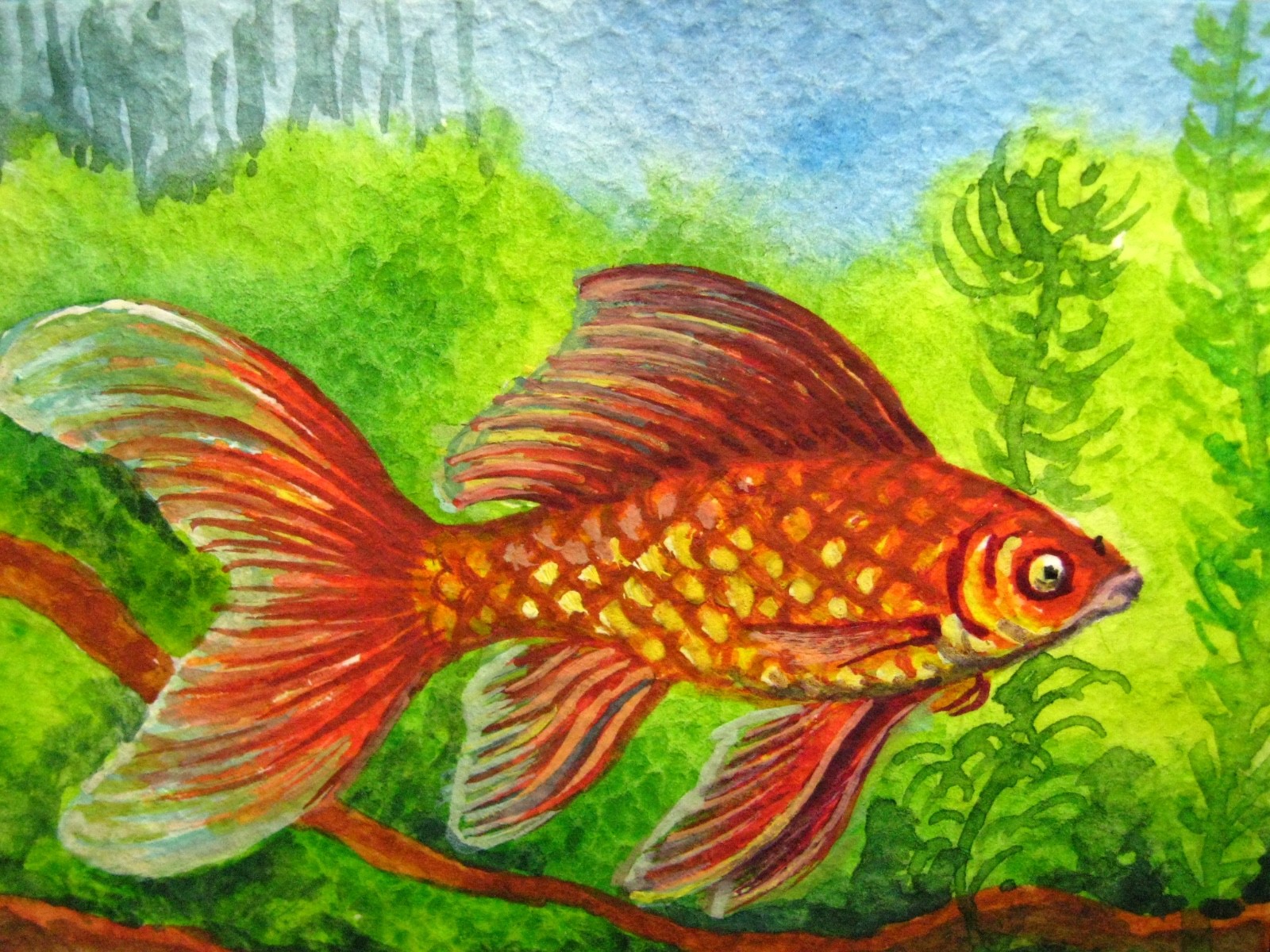Watercolor Painting Gold Fish Aquarium ACEO Art ‘