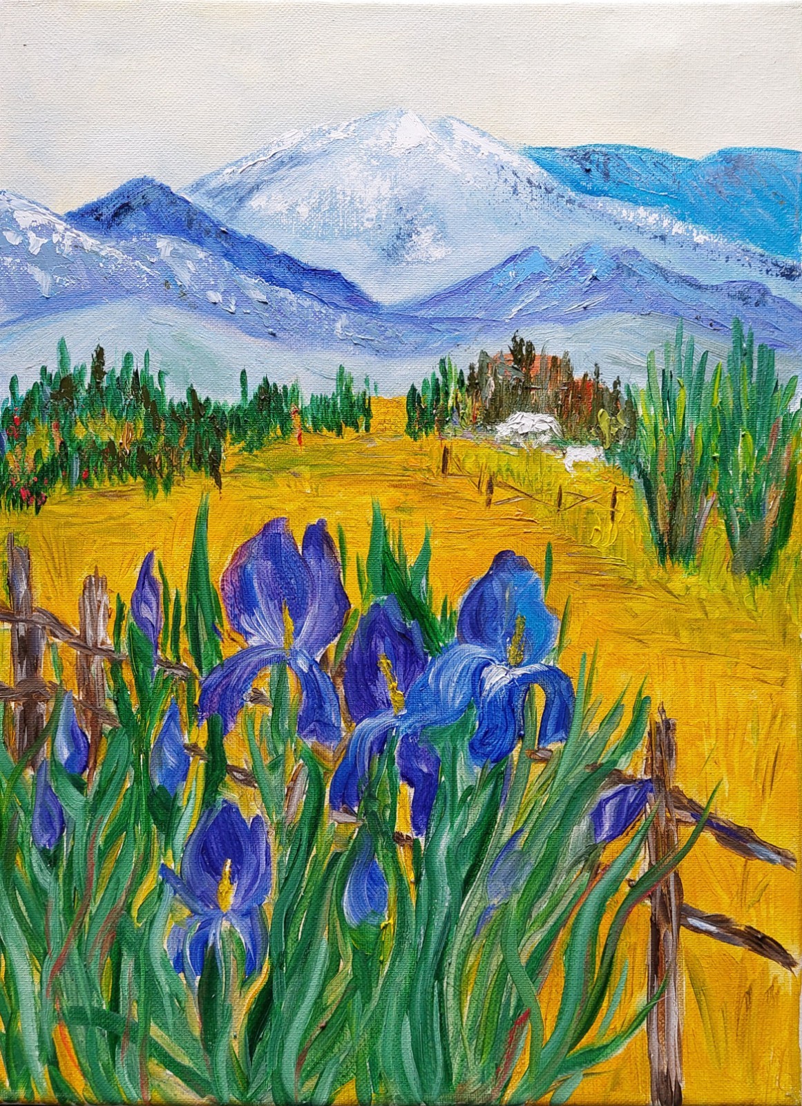 Oil original painting on canvas size 16×12 inches Irises