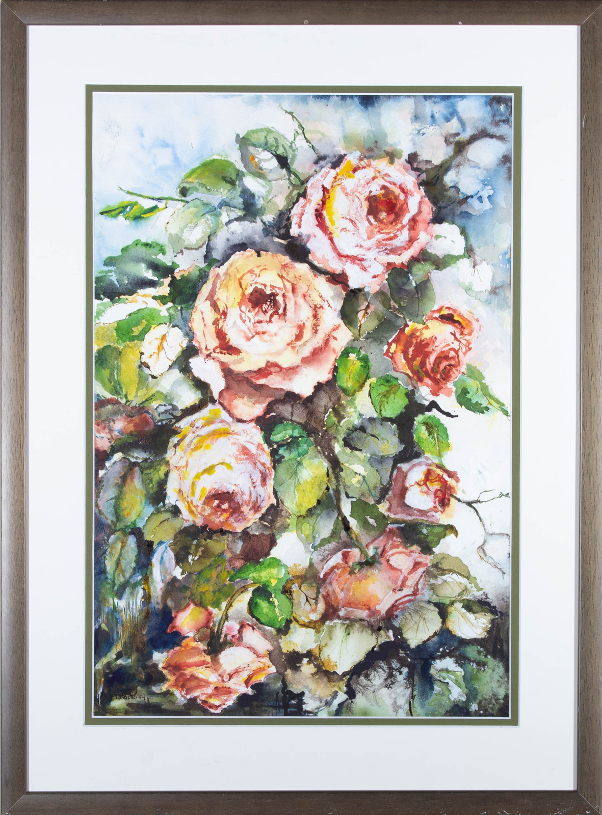 D. Thackeray – 20th Century Watercolour, Study of Pink Roses