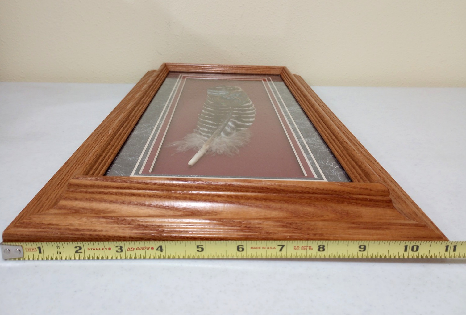 Beautiful Framed Hand-Painted Wild Turkey Feather Wildlife Art, One of a Kind