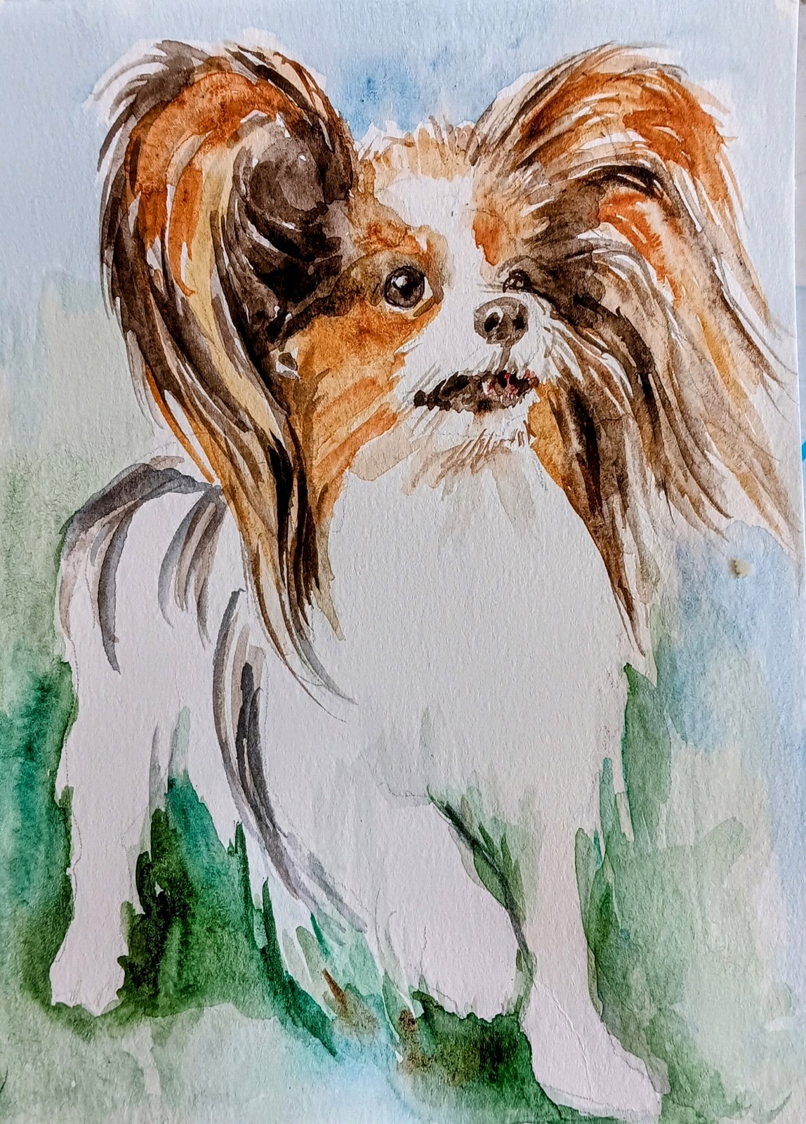 Psppilon Puppy dog pet art,original watercolor painting signed,dog lovergift 5×7