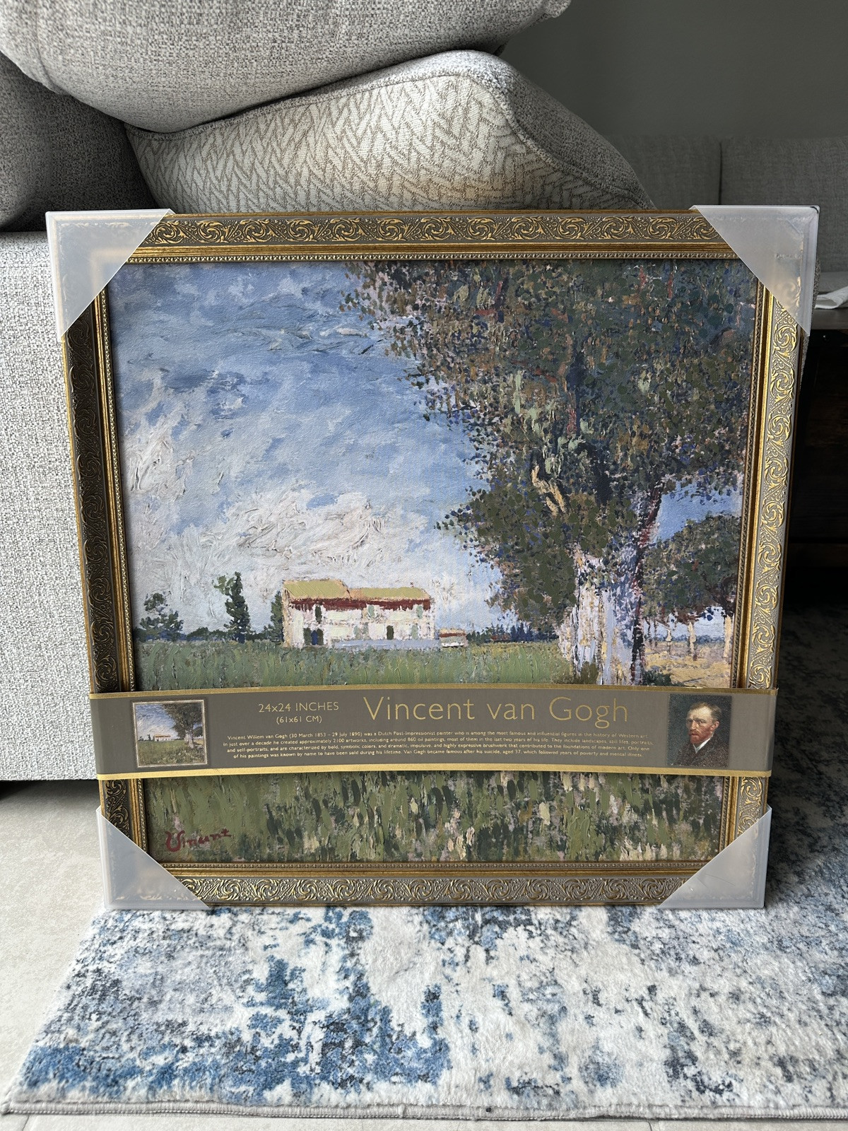 TikTok Viral Vincent Van Gogh Framed Art Farmhouse 24”x24”