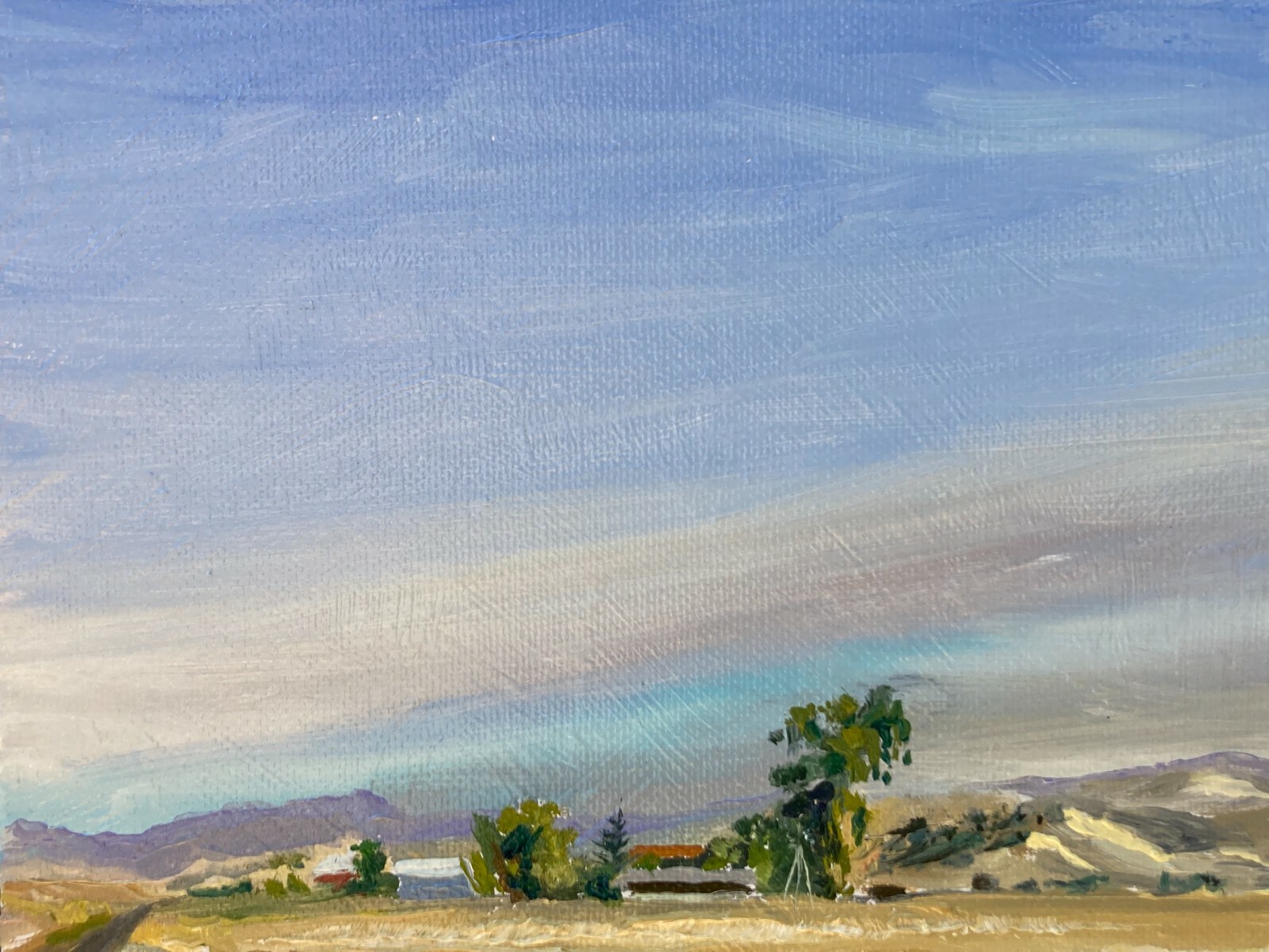 US Dept State Recognized artist: E. Merced foothills out Cunningham Rd