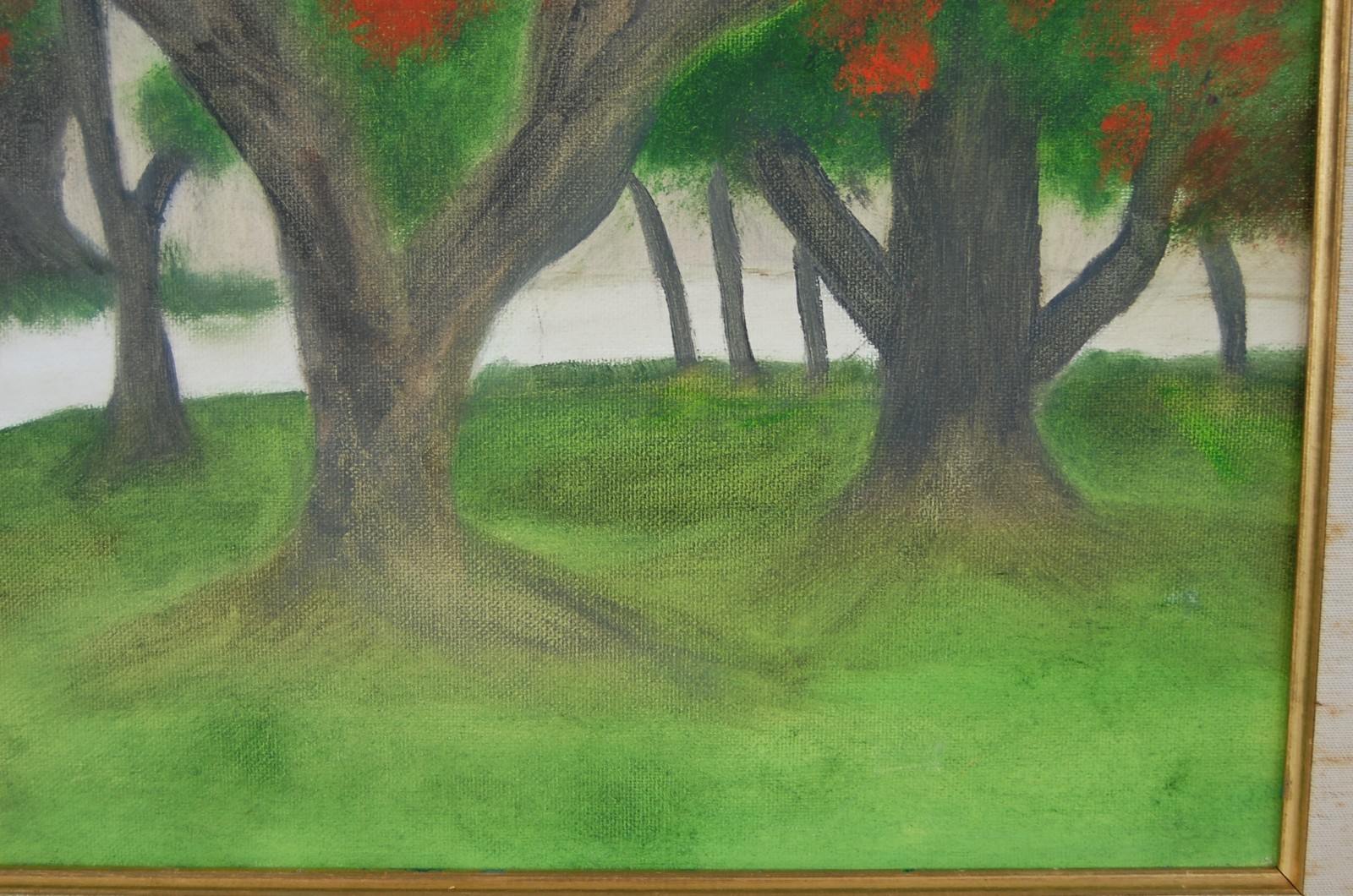 Vtg 80’s Framed Original Oil «Framboyan (Royal Poinciana) Tree Landscape» 20X16