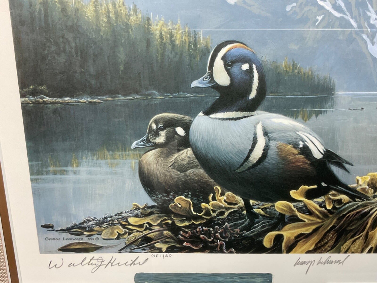 George Lockwood Orig Wildlife Duck Oil Painting Signed Art & Litho Stamps Alaska