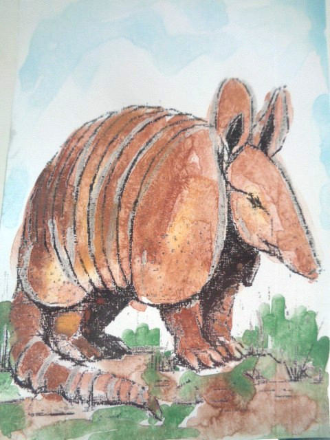 ATC ACEO Desert ARMADILLO Painting Art
