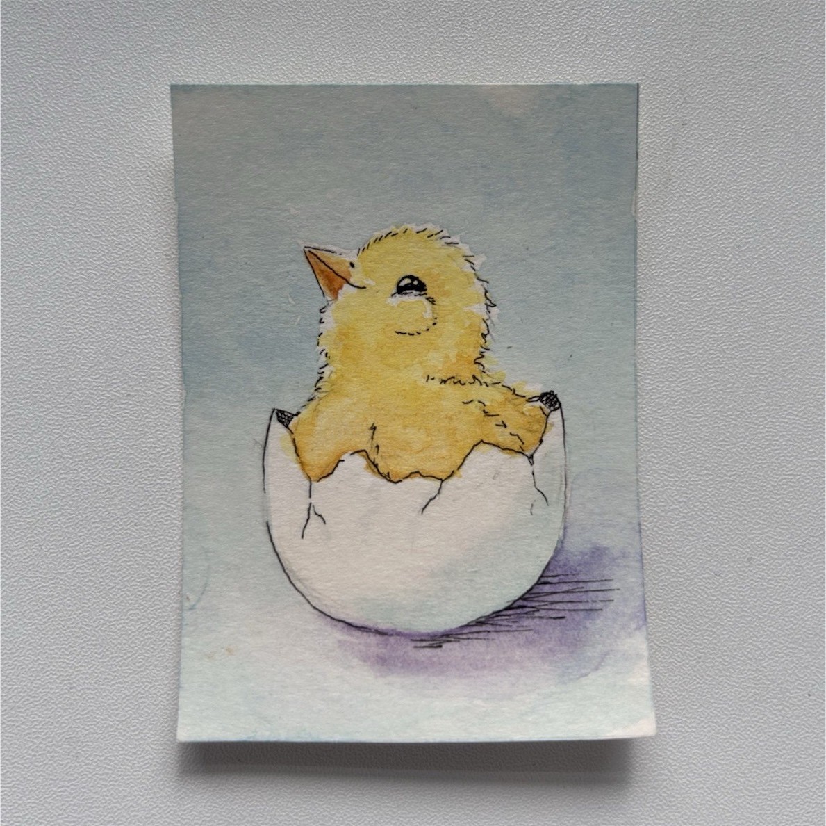 Small Unframed Chick Hatching Bird Illustration Painting on Paper, Single