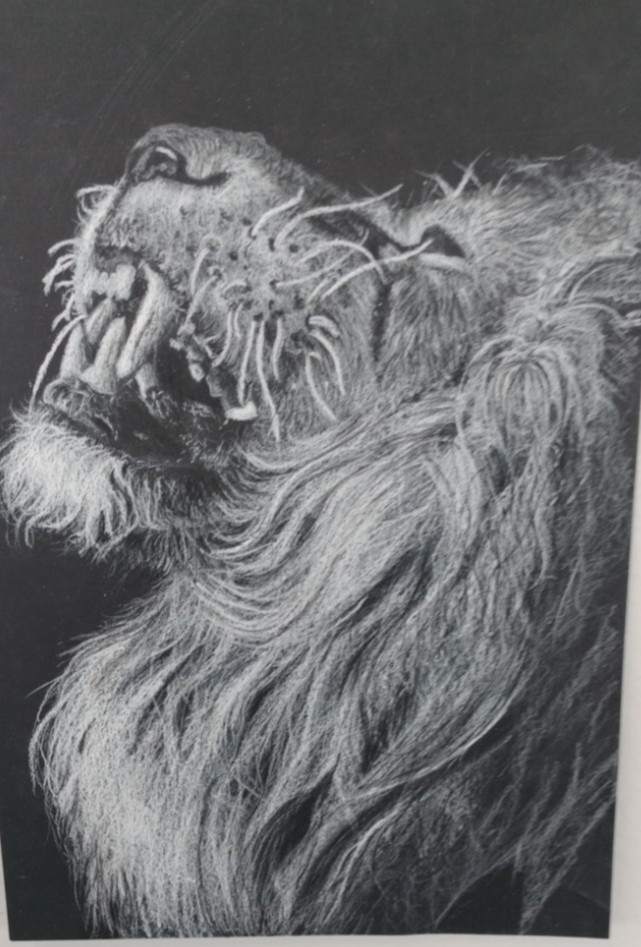 original art work, charcoal, colored pencil. whatever you would like