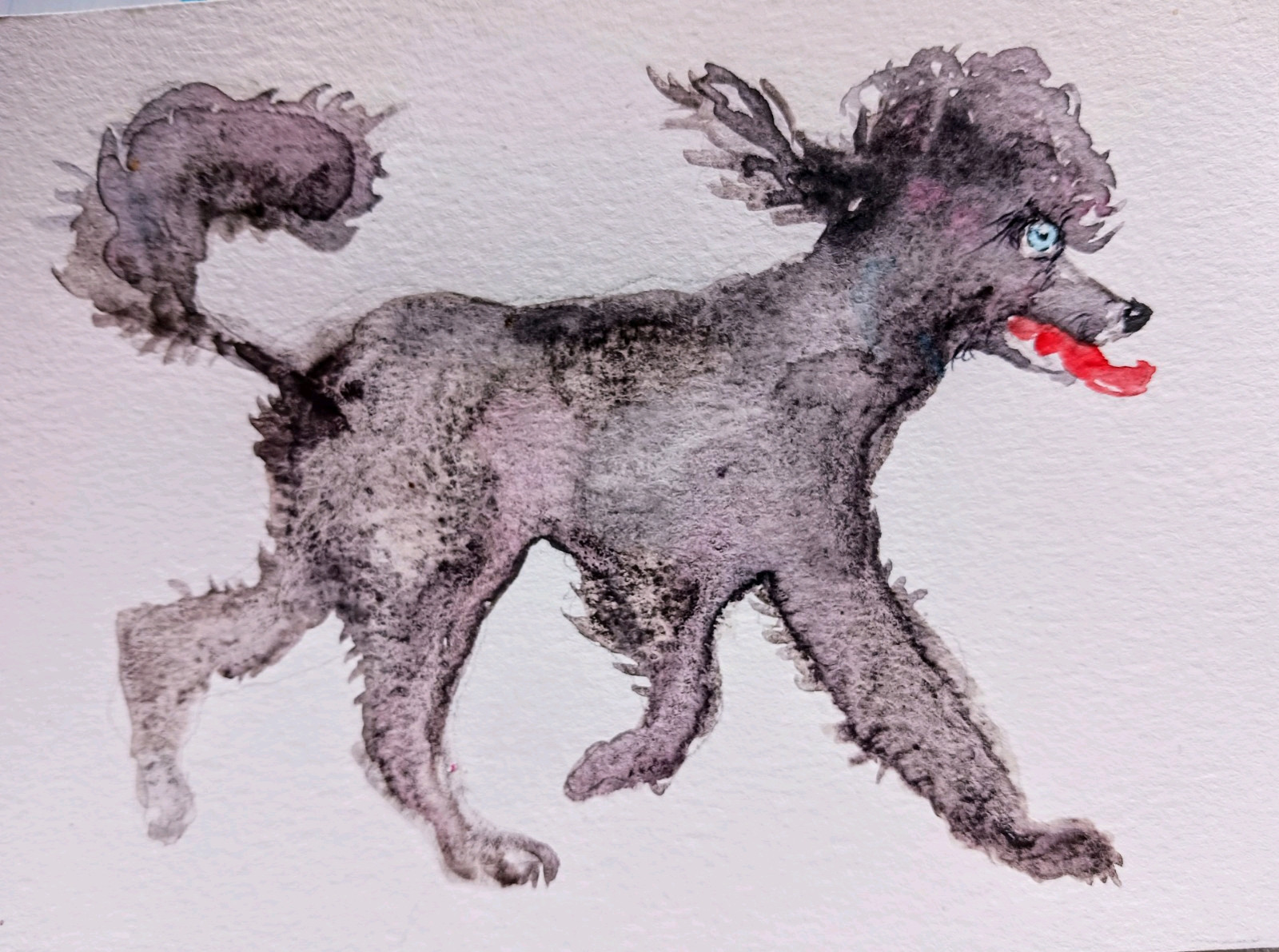 Original Painting Gray Standard poodle dog art,home design,dog lover gift 6×4″