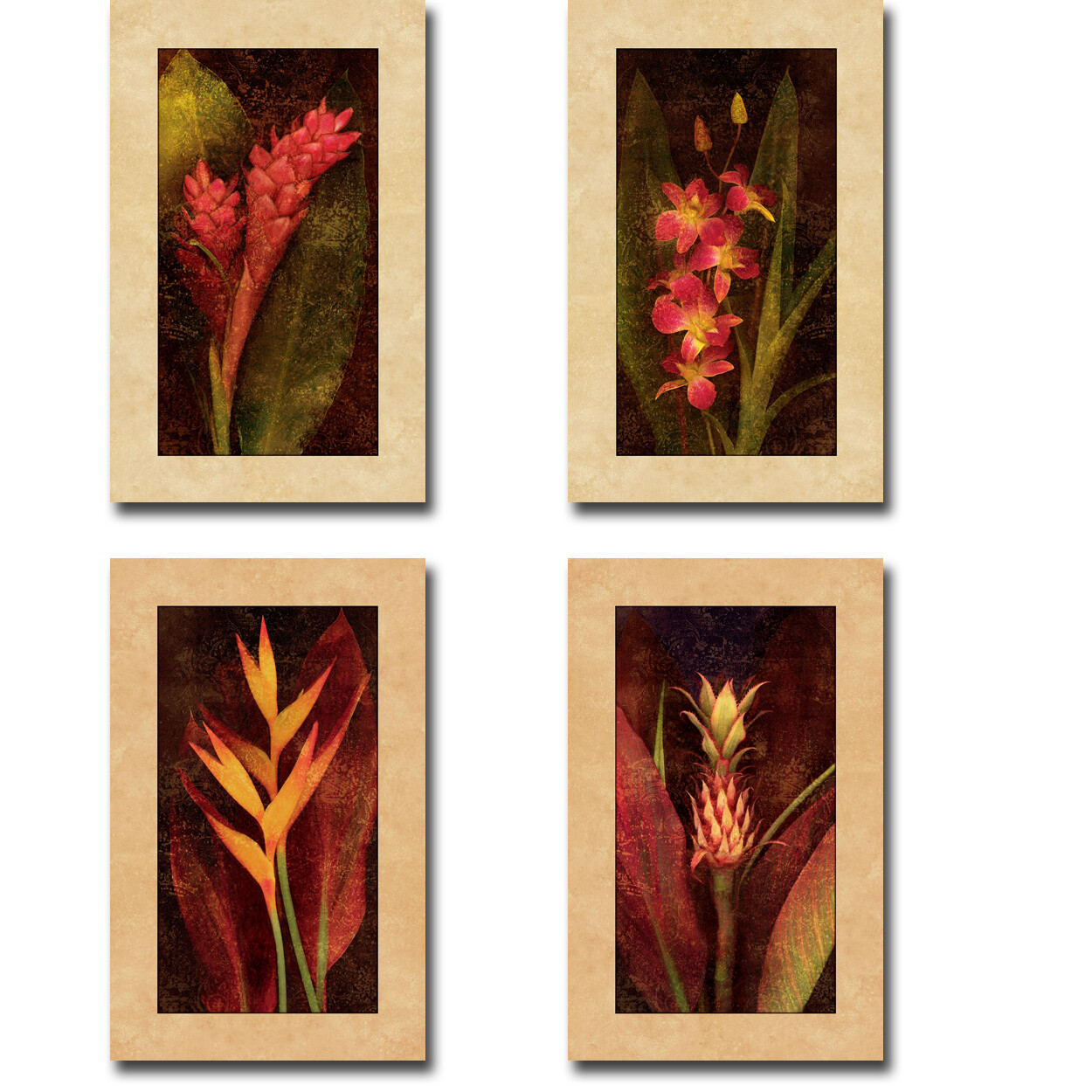 Tropical Floral by Seba 4-pc Gallery Wrap Canvas Giclee Art Set (20 x 12 Each)