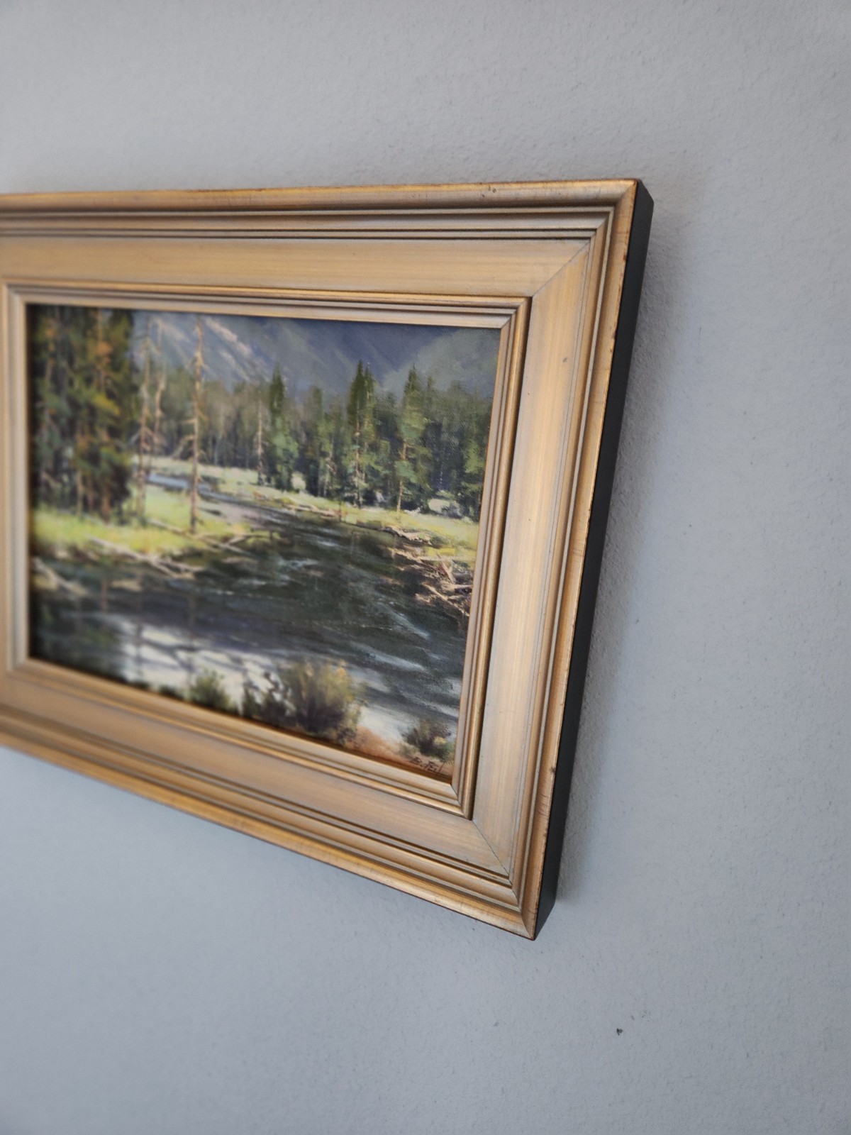 Bruce PEIL Signed Autographed 9×12. Subject Is Titled GIBBON PARK.