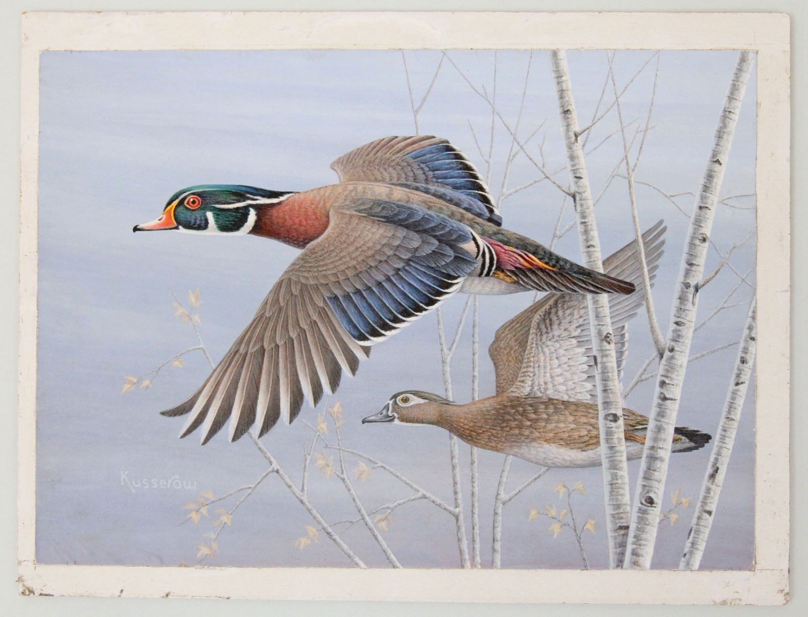 Robert Kusserow Original Acrylic Painting Wood Duck Stamp Listed Artist Tree