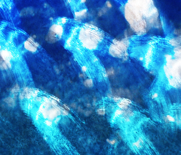 Ocean Design Modern Art Decor Metal Wall Art Panels «Aqua Curves» Aluminum
