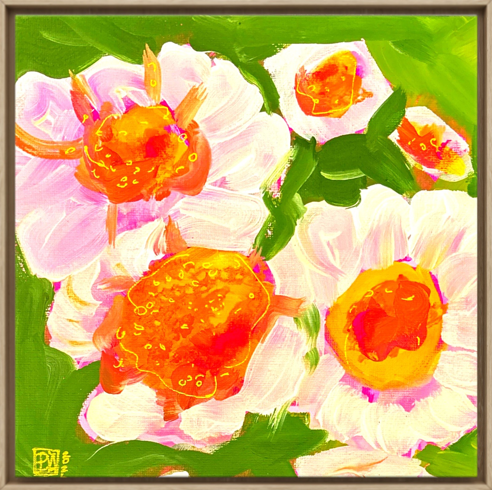 Zinnia whimsy Original Painting 20x20cm Canvas Tasmanian Art Bruny Island