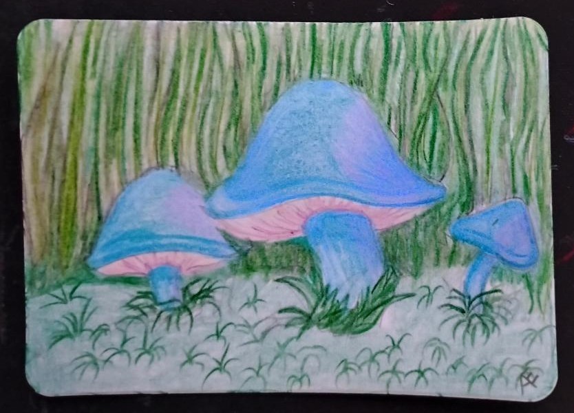 Original art work by new artist. One of a kind colored pencil drawing .