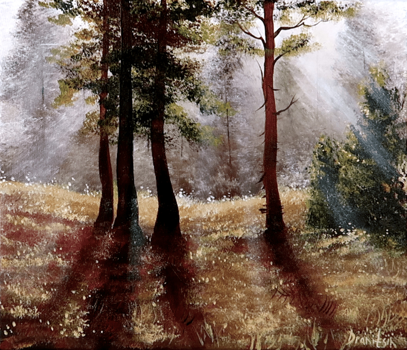 Original Acrylic Landscape Painting 12×14″ PINE TREES IN SUNLIGHT Wall Art