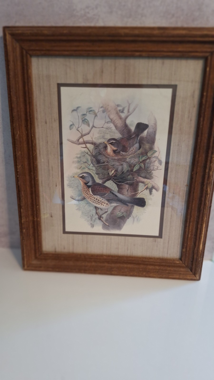 FRAMED VINTAGE BIRD NESTING SCENE PRINT WOOD THRUSH WALL ART DECOR