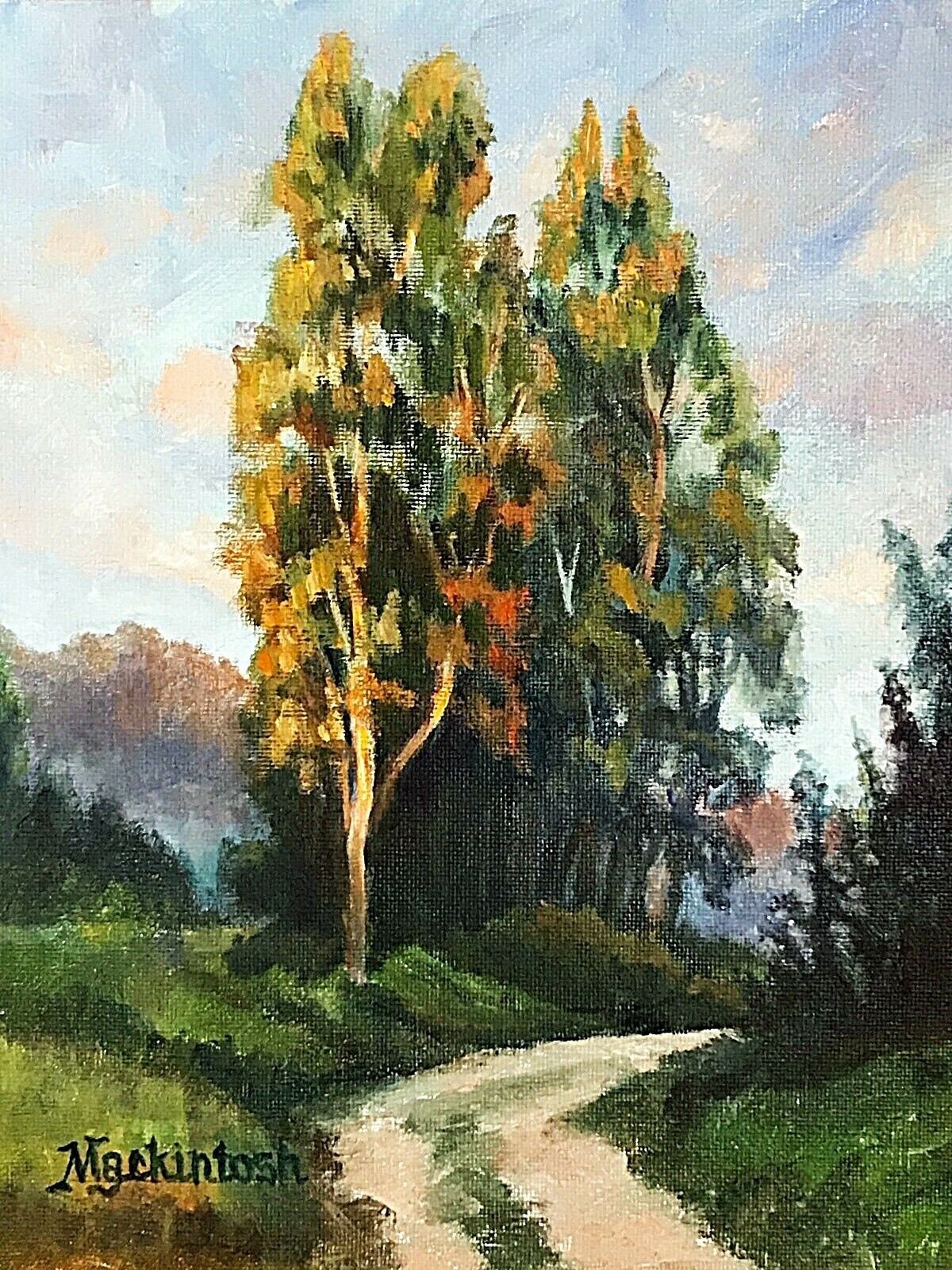 Light playing on the trees: as the sun goes down changing colors dance playfully