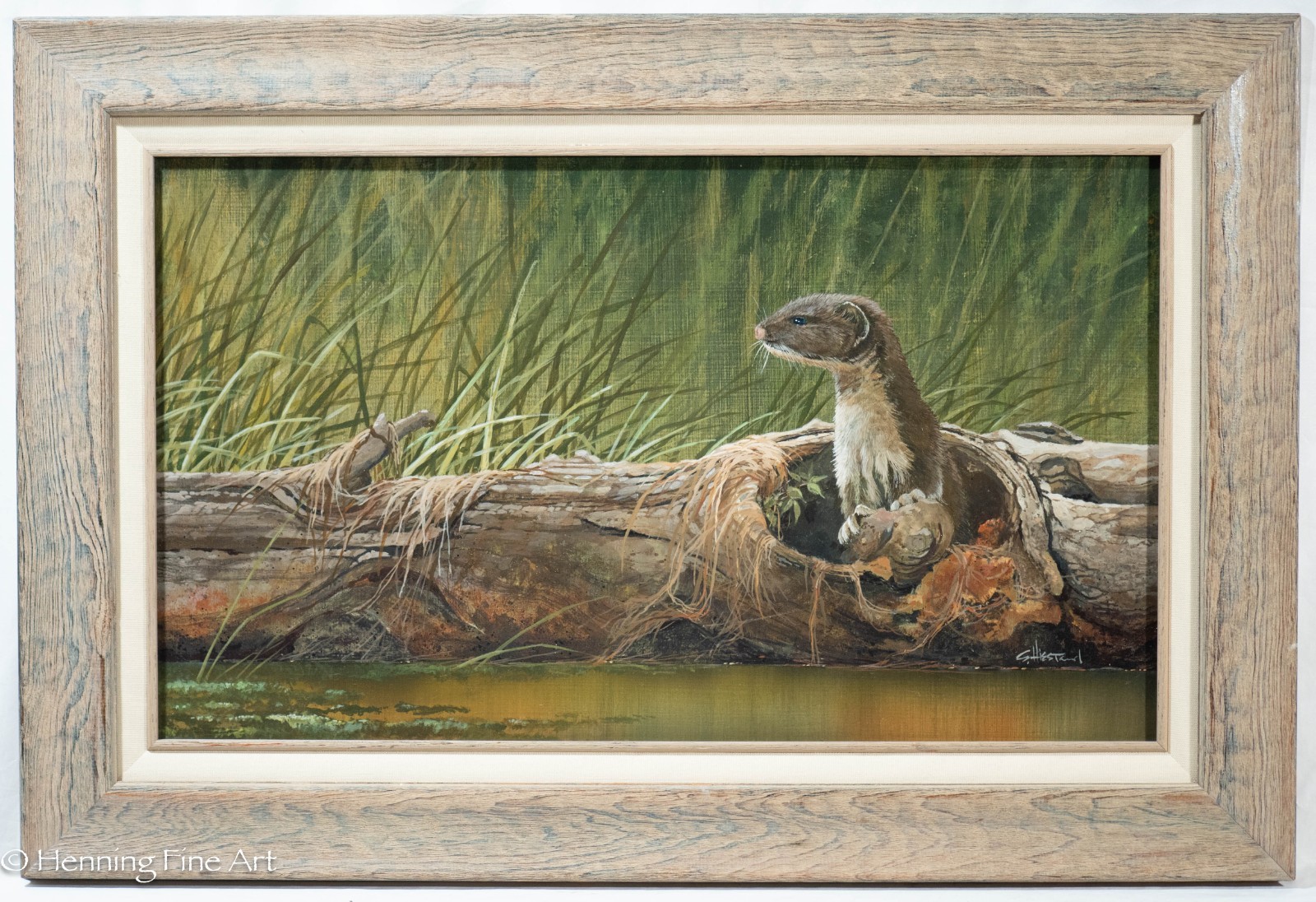 Stunning Scott Hiestand Oil Painting of River Otter in Fallen Tree, Fine Realism
