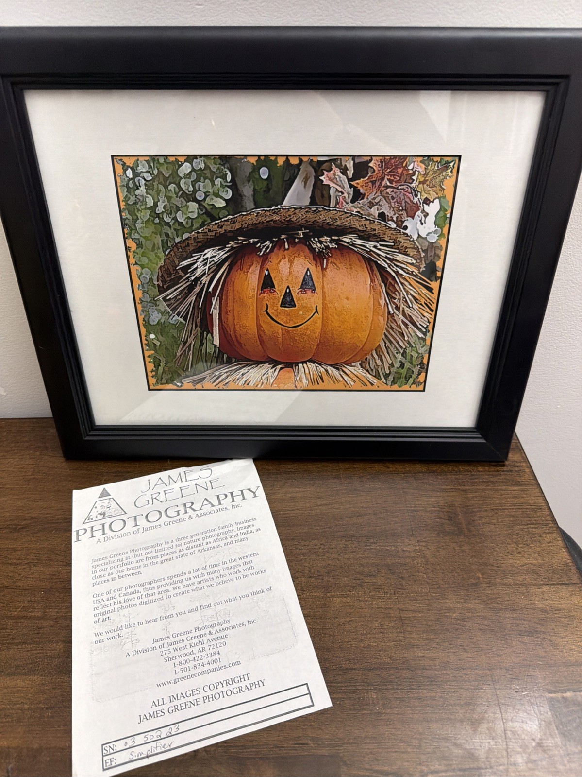 JAMES GREENE PHOTOGRAPHY Pumpkin Fall Jack O’lantern Halloween Art Professional