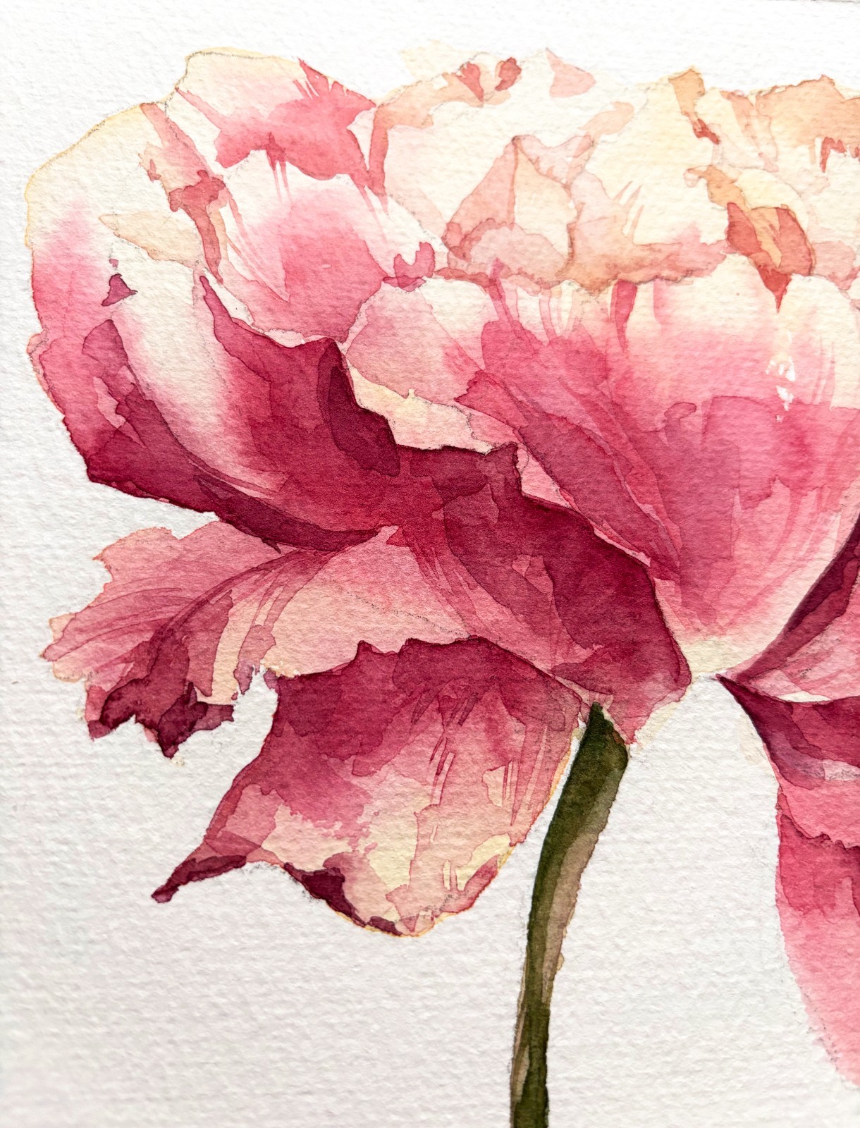 Original Watercolor Painting «Peony Bloom»21×30 cm,8.3×11.7 in