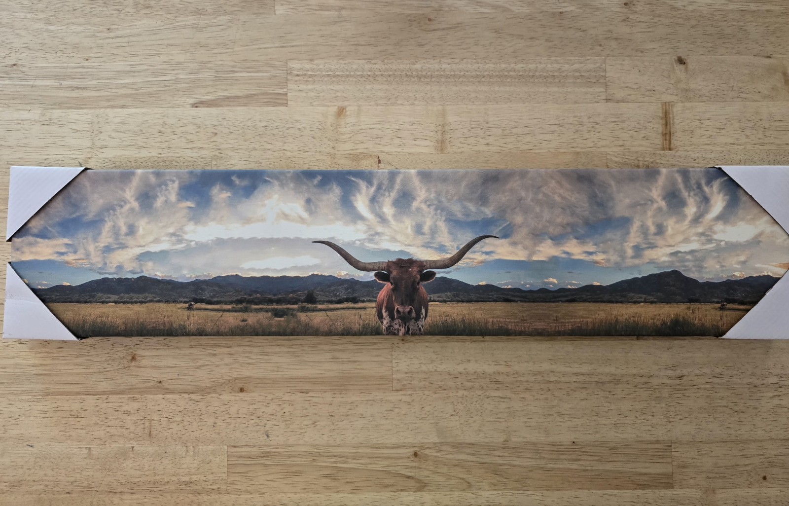 28in X 6in Longhorn In Meadow